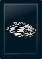 New Mexico Lobos Secondary