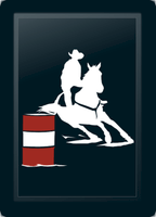 Barrel Rider