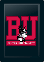 Boston Terriers