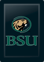 Bemidji State Beavers