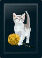  Pets