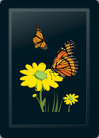 Butterfly & Daisy