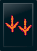 Virginia Tech Hokies Feet