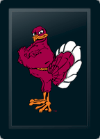Virginia Tech Hokies Stand