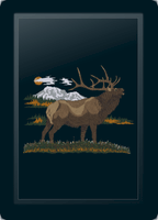 Bugling Elk