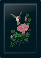 Hummingbird