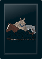 Quarter Horse Collage