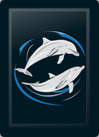 Dolphin Swirl