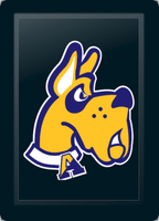 Albany University Great Dane